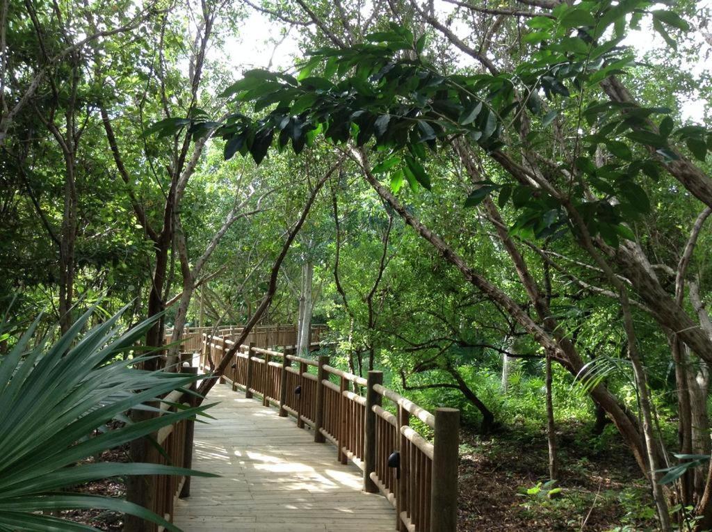 Mayan Palace Vidanta Resort Riviera Maya Puerto Morelos Exterior photo